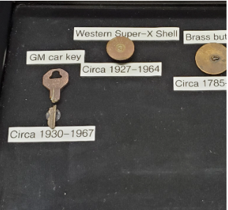 Finds in the Backyard